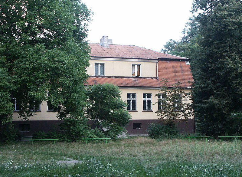 Plik:Dwor w Bronczynie.jpg