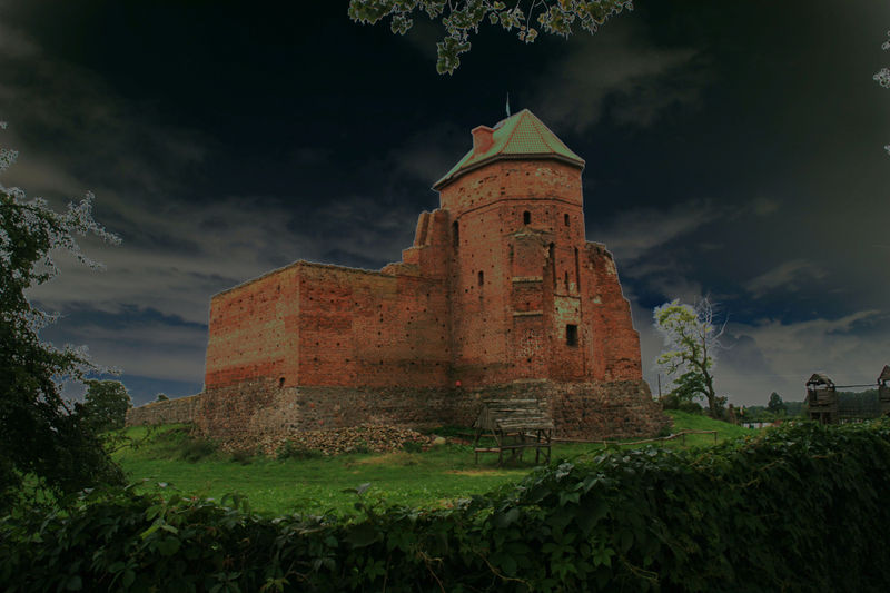 Plik:Zamek Liw.jpg