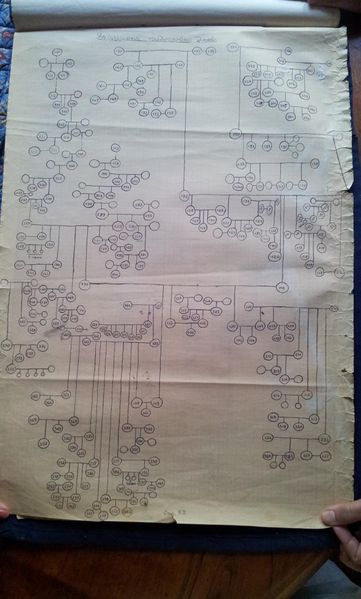 Plik:Family tree.jpg
