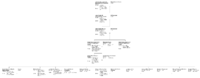 Drzewo genealogiczne rodziny Władysława Raczko z Kibortyszek skócone copy.png