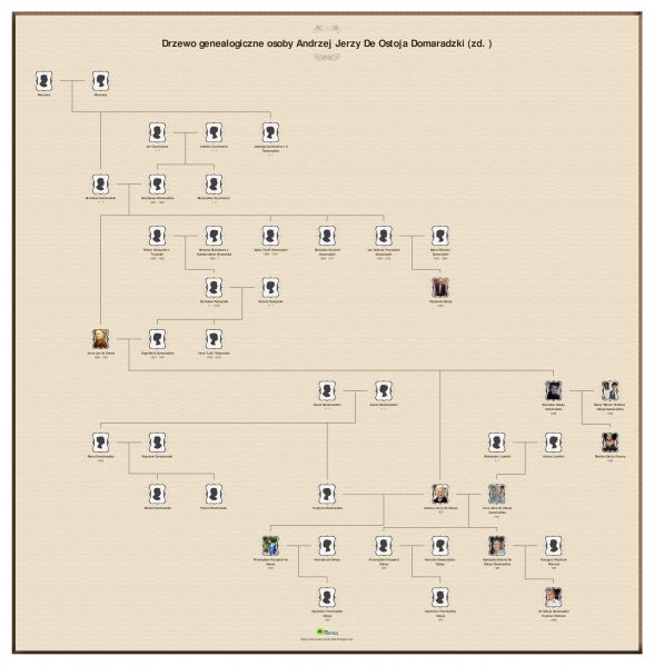 Plik:Domaradzki tree 2.jpg