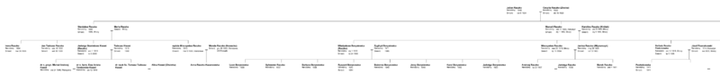 Drzewo genealogiczne potomków Juliana Raczko - 4 pokolenia niepełne.png