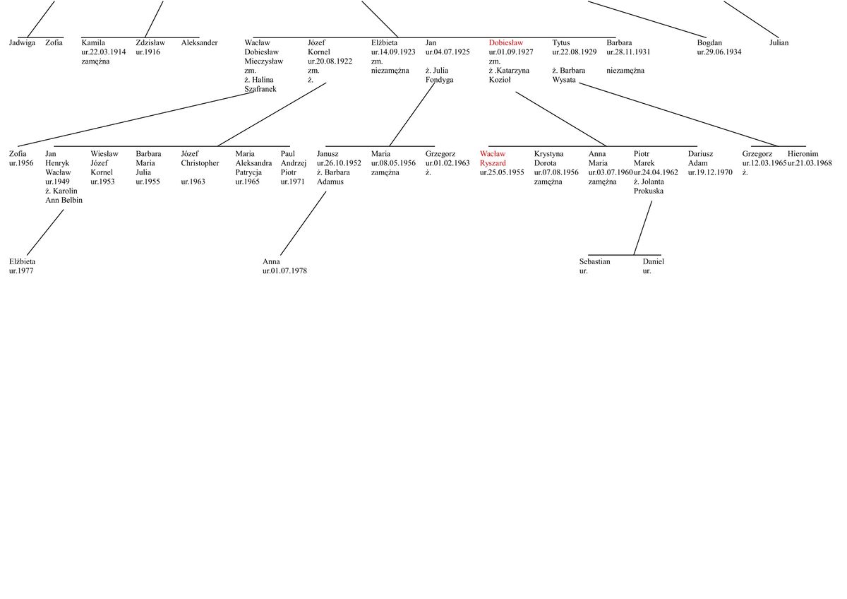 Drzewo genealogiczne rodziny Ostoja Starzewskich-1-2.jpg