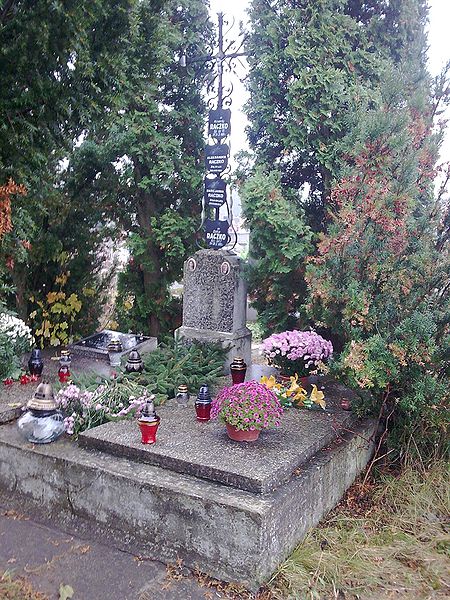 Plik:Aleksander T R.jpg