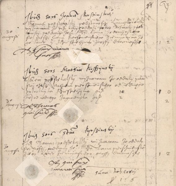 Plik:Dziedzice Pierzchna 1565.jpg