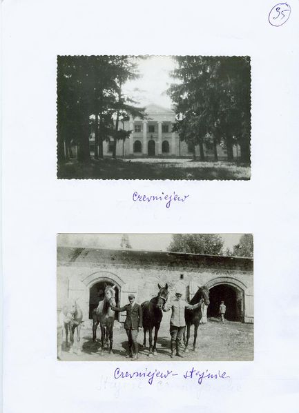 Plik:Czerniejow Palace and Stable.jpeg
