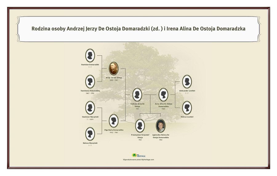 Domaradzki family tree jpg.jpg