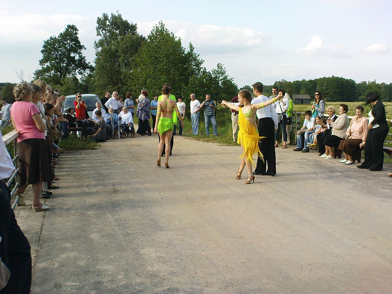 Plik:Pokazy tańca towarzyskiego na Zjeździe 2010.JPG