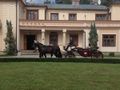 Miniatura wersji z 11:50, 14 maj 2014